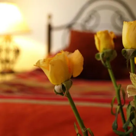 Riad Karim-3